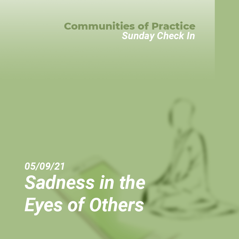 Sadness in the Eyes of Others