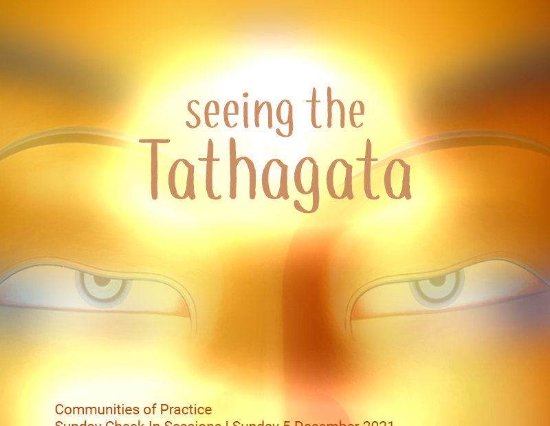 Seeing the Tathagata