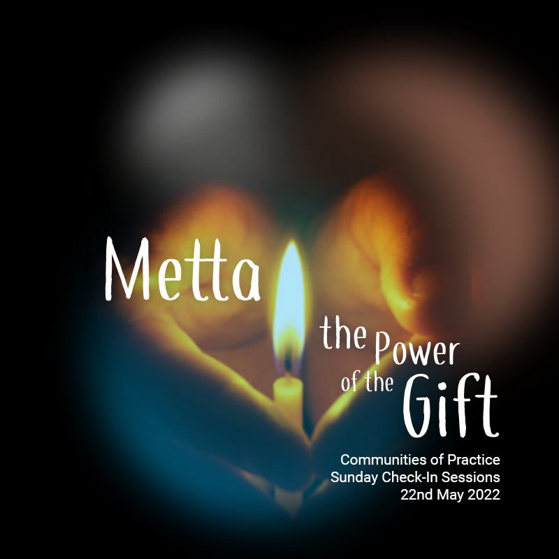 Metta - the power of the gift