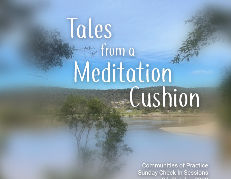 Tales from a Meditation Cushion