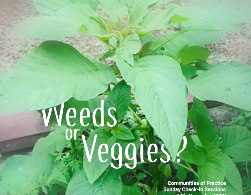 Weeds or Veggies