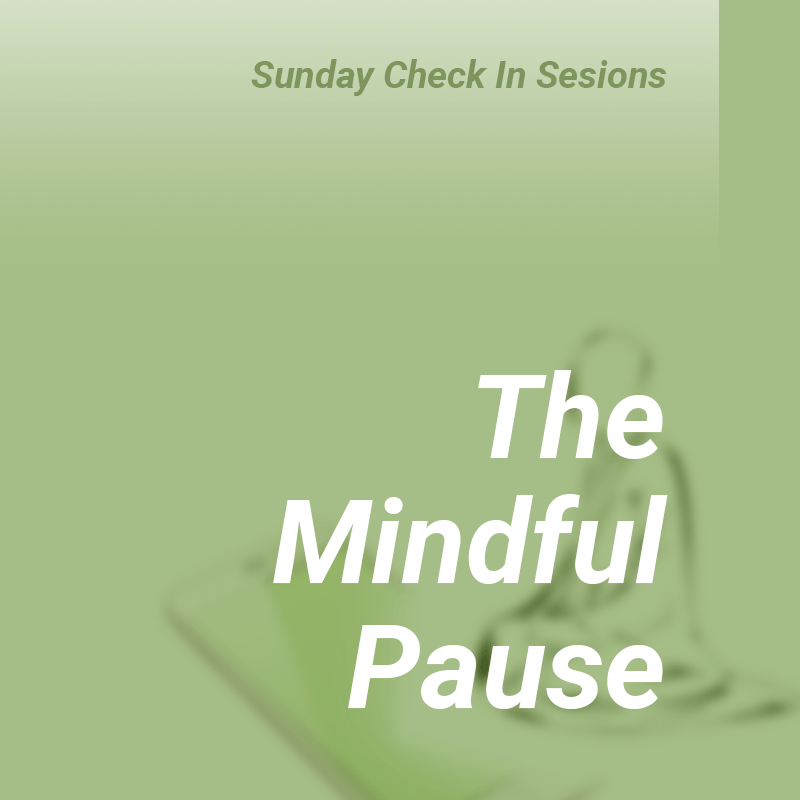 The Mindful Pause